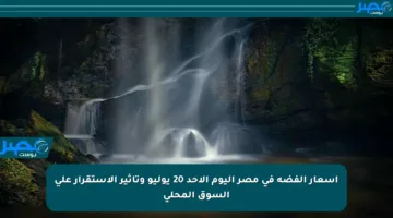 أسعار الفضة في مصر اليوم الأحد 20 يوليو وتأثير الاستقرار على السوق المحلي